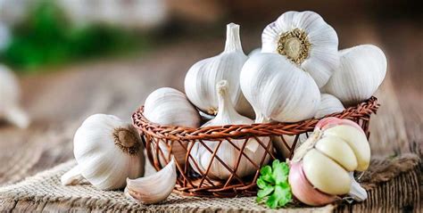 Garlic: A Prized Ingredient in Witchcraft Recipes and Incantations